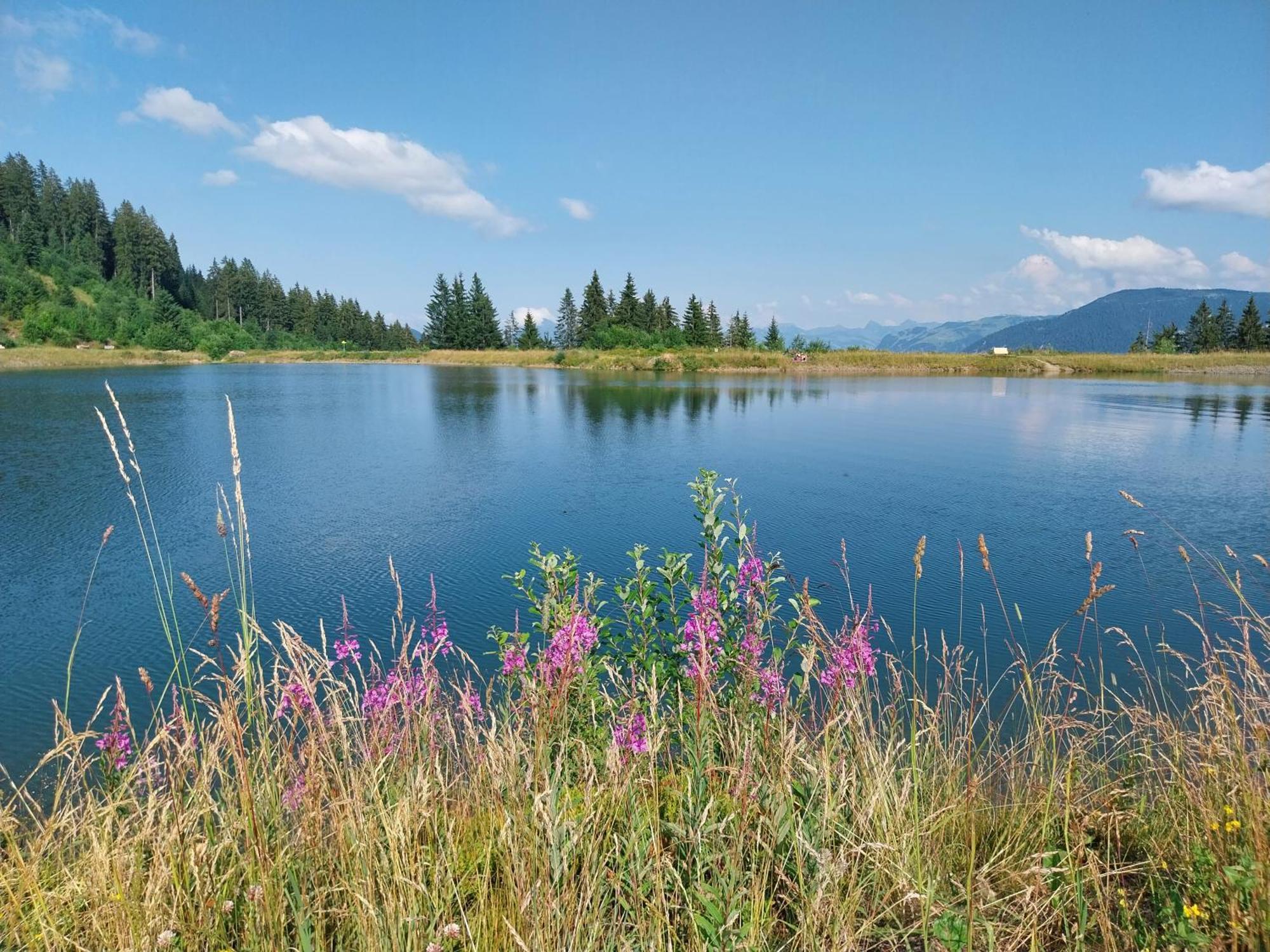 Landhaus Tirol Гопфгартен-ім-Бріксенталь Екстер'єр фото